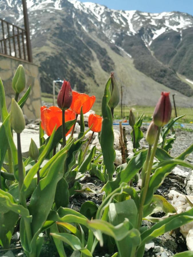 Apartament Diamond kazbegi Zewnętrze zdjęcie